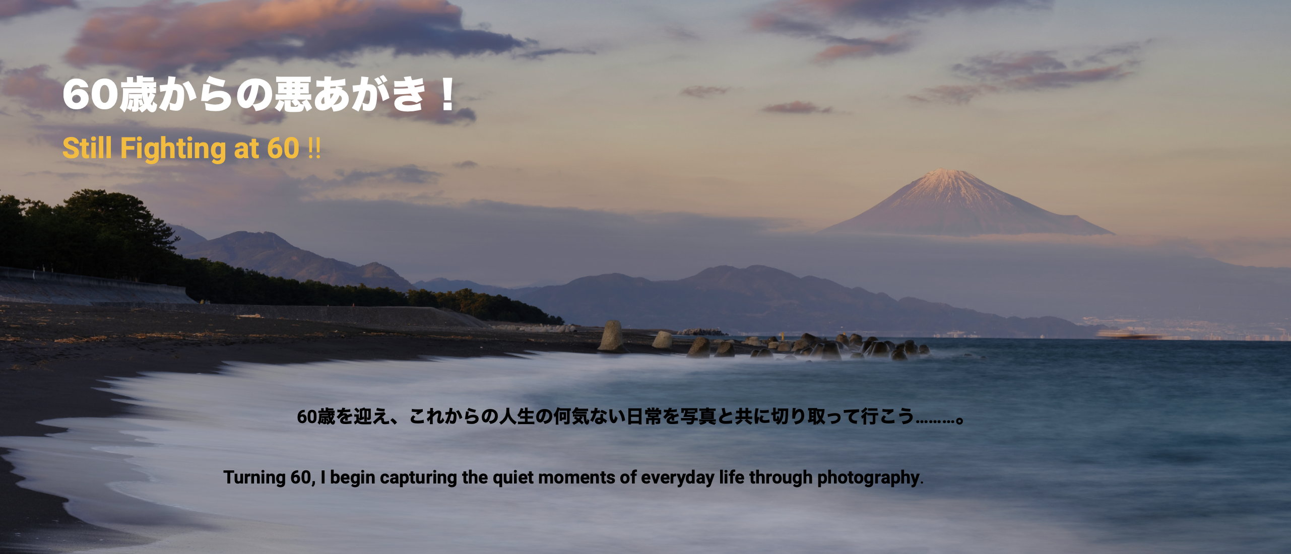 photolife60